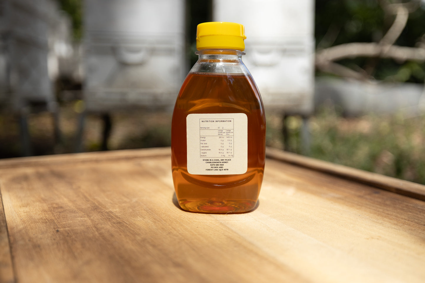 500g Squeeze Bottle