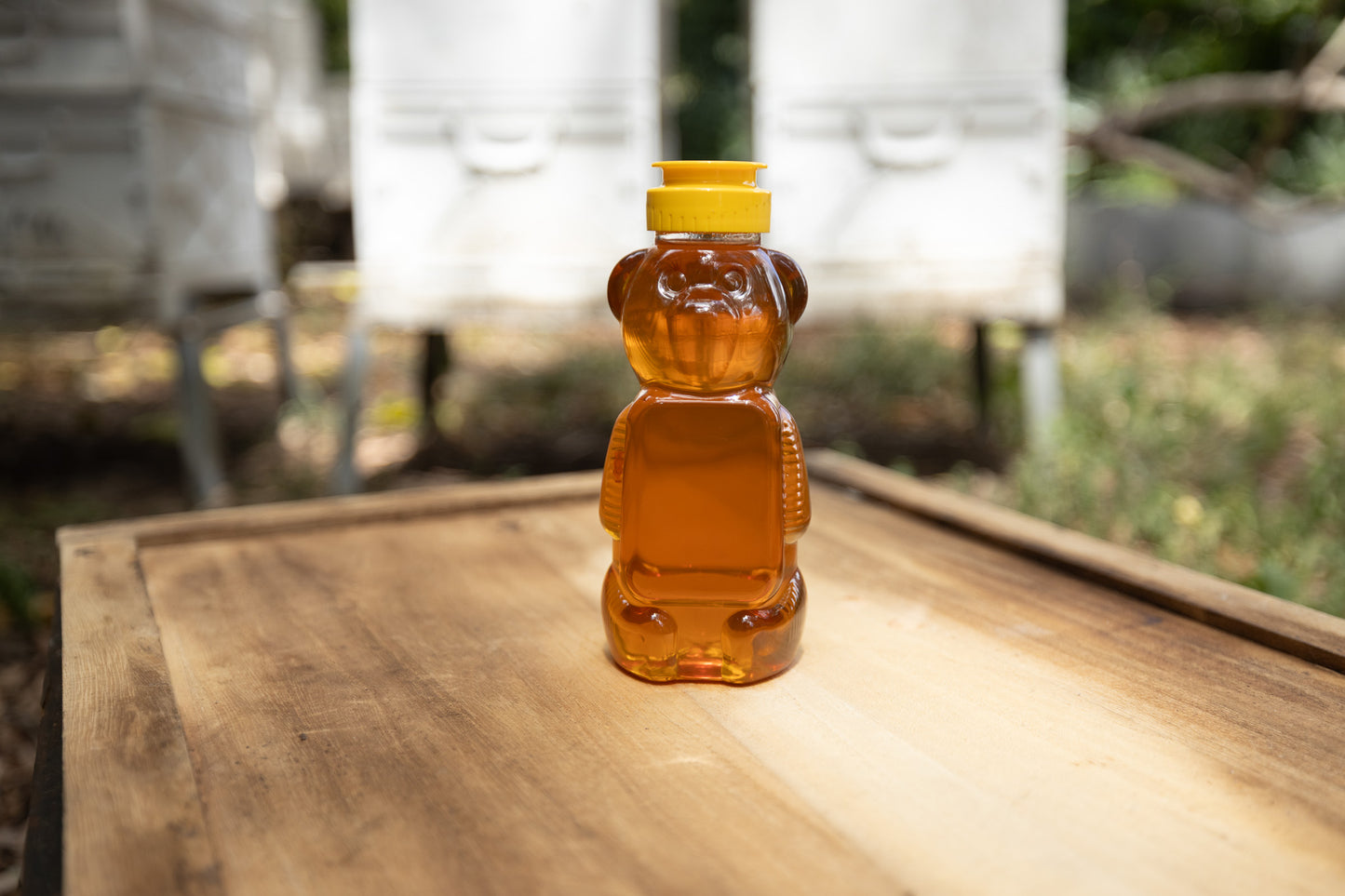 Honey Bear Squeeze Bottle