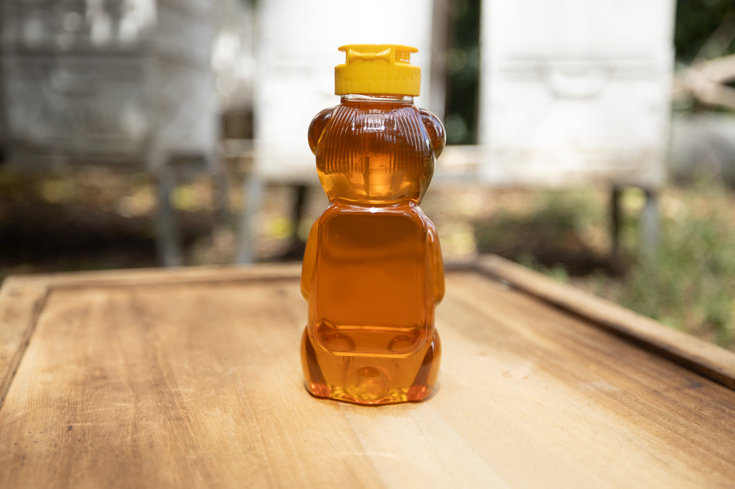 Honey Bear Squeeze Bottle